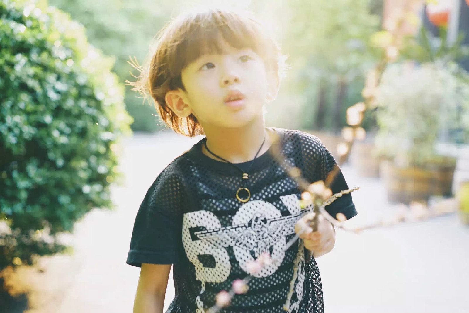 http://www.fjsenfa.cn/pics/star/pic/8563ad9f69bdd04c2939ba0885c67466.jpg
