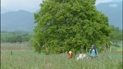 http://www.fjsenfa.cn/pics/star/pic/9a97d2087e2508459e88898f87a88269.jpg