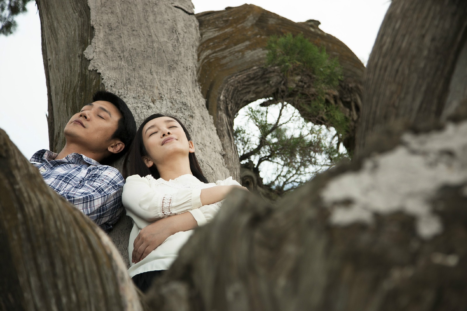 http://www.fjsenfa.cn/pics/star/pic/b7c1/e8d74f75782527484a9dffba428d.jpg