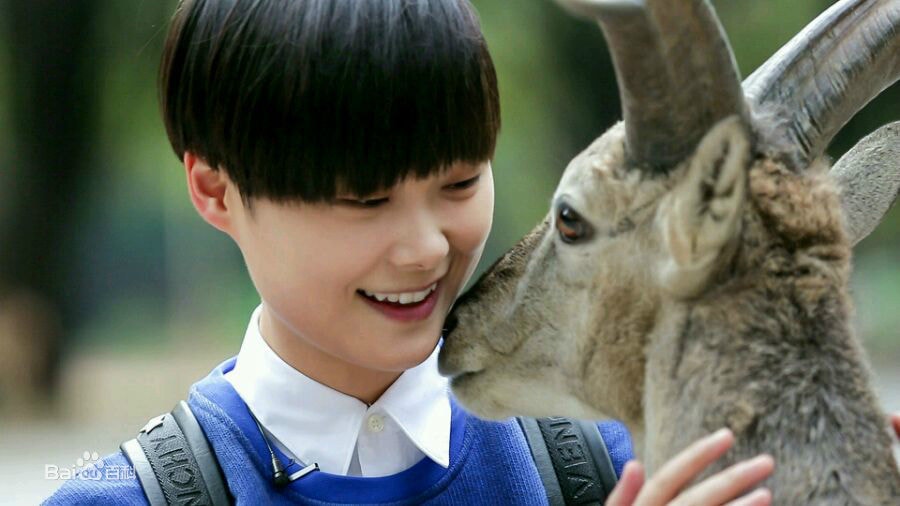 http://www.fjsenfa.cn/pics/star/pic/c71874a2c15eae639080d92de4e063a6.jpg