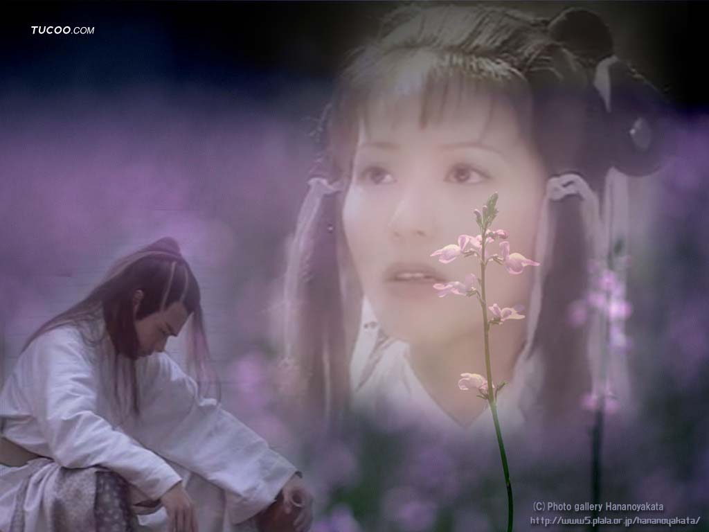 http://www.fjsenfa.cn/pics/star/pic/cfd7/fdf5aedec3914dac346e1a978928.jpg