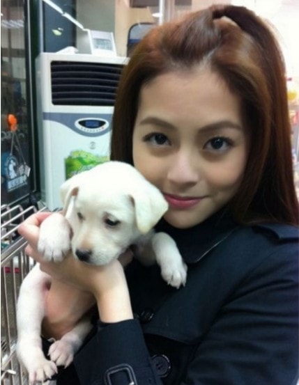 http://www.fjsenfa.cn/pics/star/pic/e76406833e8b5c00fc1af9f0a6ba27ed.jpg