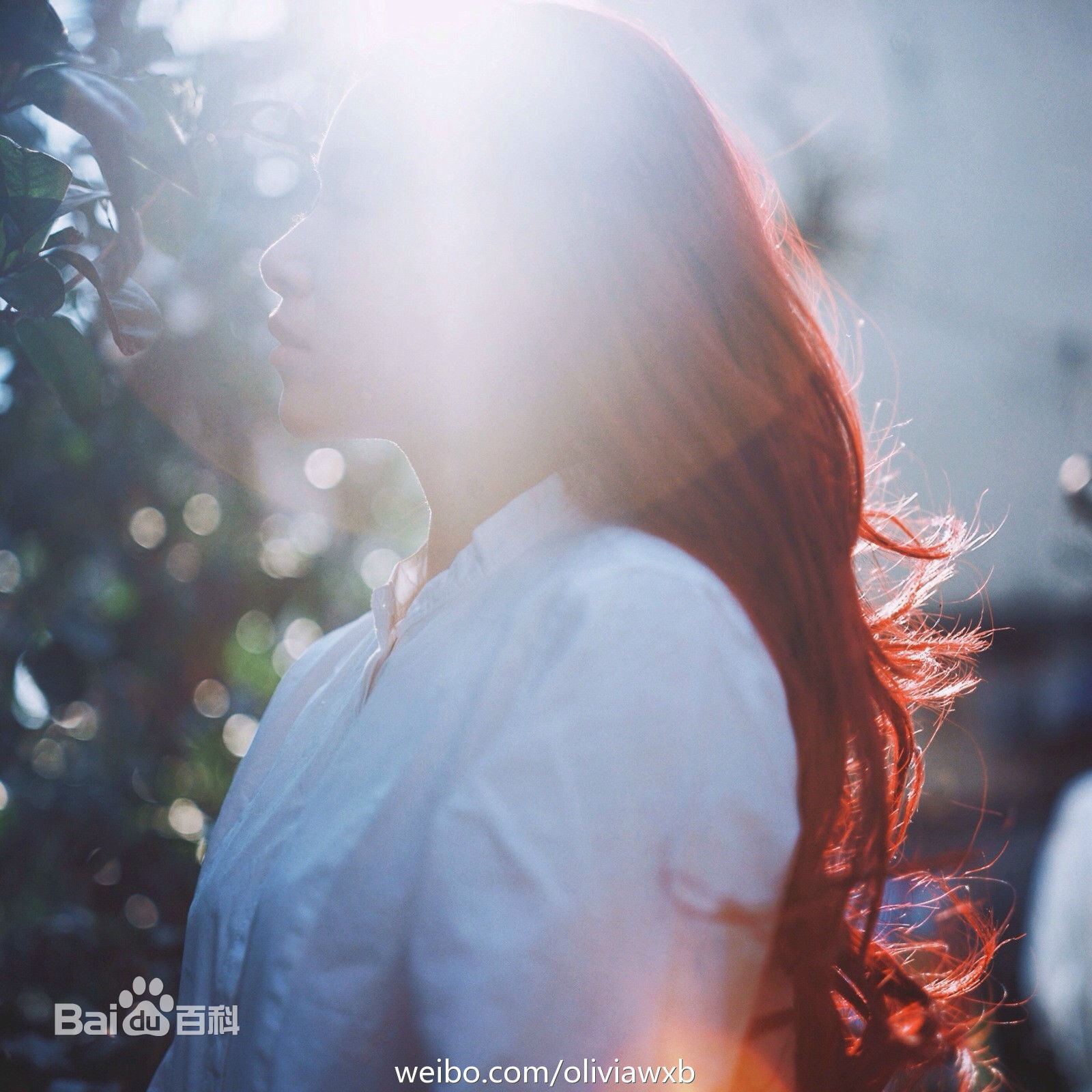 http://www.fjsenfa.cn/pics/star/pic/f935dfd40c9660b7958f2f3f226ddc5f.jpg