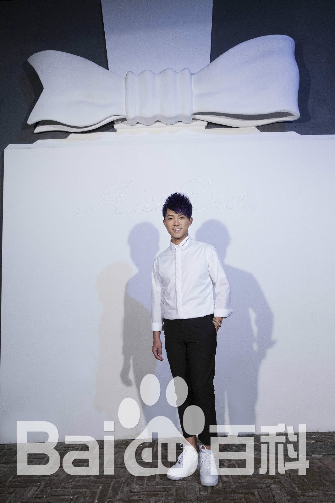 http://www.fjsenfa.cn/pics/star/pic/fe1ba75c0c34846b129fea15b49203d5.jpg